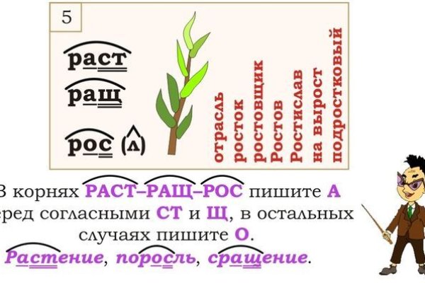 Зеркало кракен