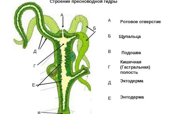 Правила модераторов кракен площадка