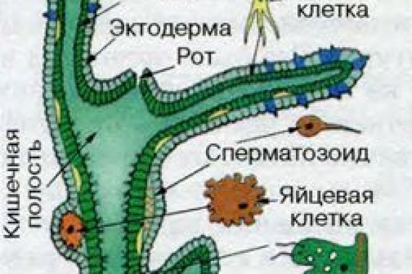Кракен современный даркнет маркет плейс